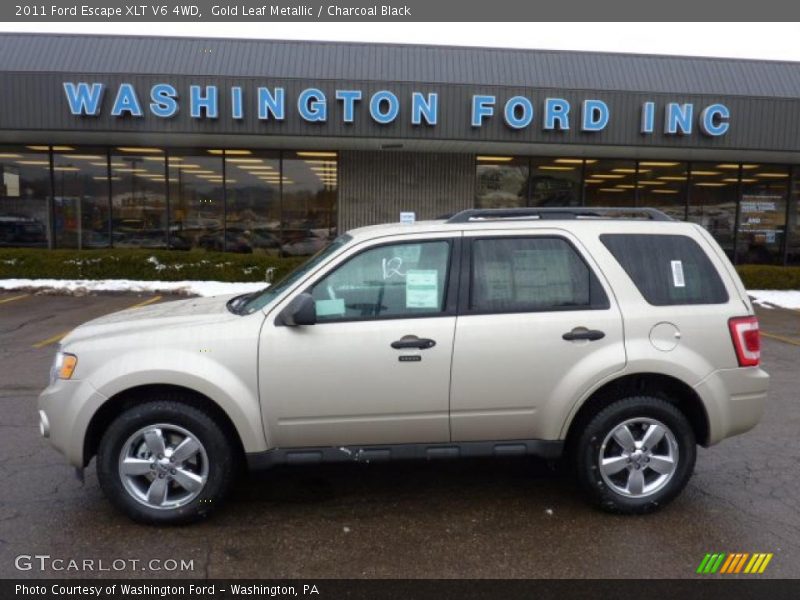 Gold Leaf Metallic / Charcoal Black 2011 Ford Escape XLT V6 4WD