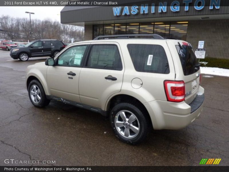 Gold Leaf Metallic / Charcoal Black 2011 Ford Escape XLT V6 4WD