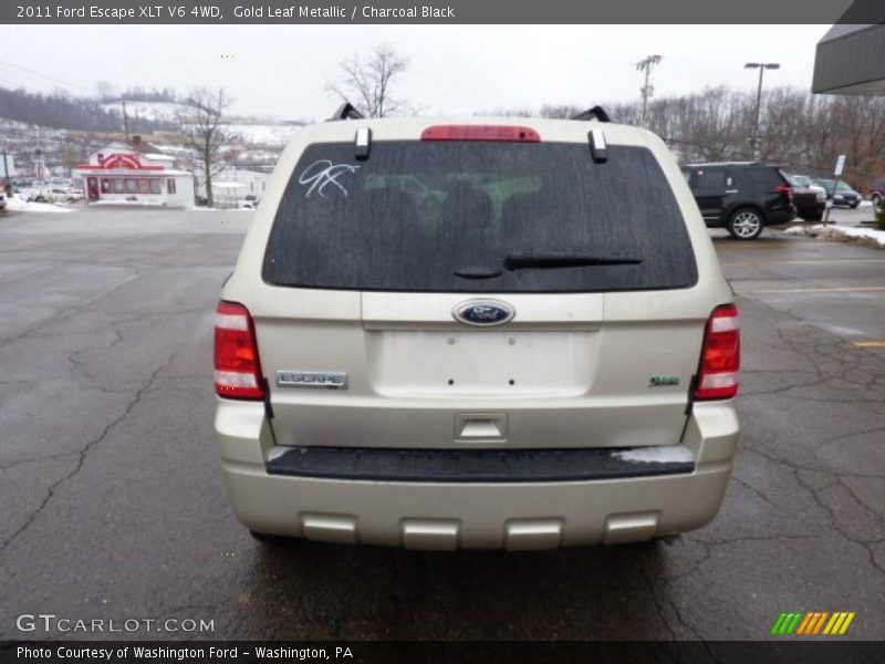 Gold Leaf Metallic / Charcoal Black 2011 Ford Escape XLT V6 4WD