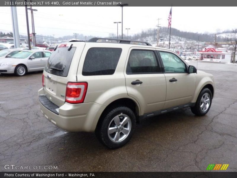 Gold Leaf Metallic / Charcoal Black 2011 Ford Escape XLT V6 4WD