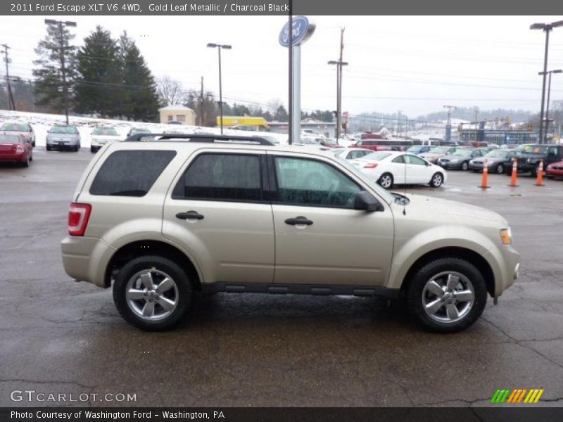 Gold Leaf Metallic / Charcoal Black 2011 Ford Escape XLT V6 4WD