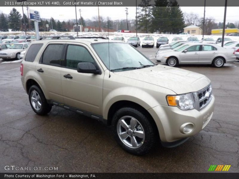 Gold Leaf Metallic / Charcoal Black 2011 Ford Escape XLT V6 4WD