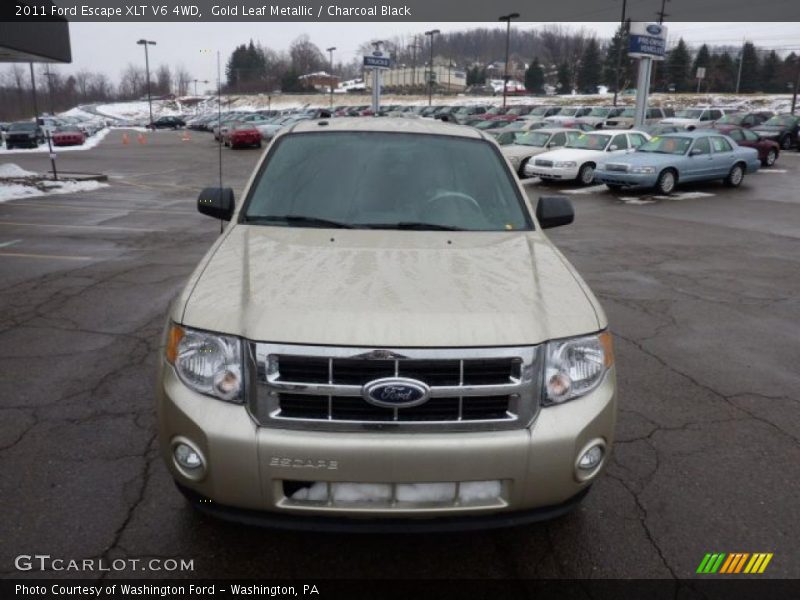 Gold Leaf Metallic / Charcoal Black 2011 Ford Escape XLT V6 4WD
