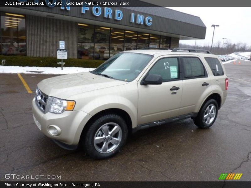 Gold Leaf Metallic / Charcoal Black 2011 Ford Escape XLT V6 4WD