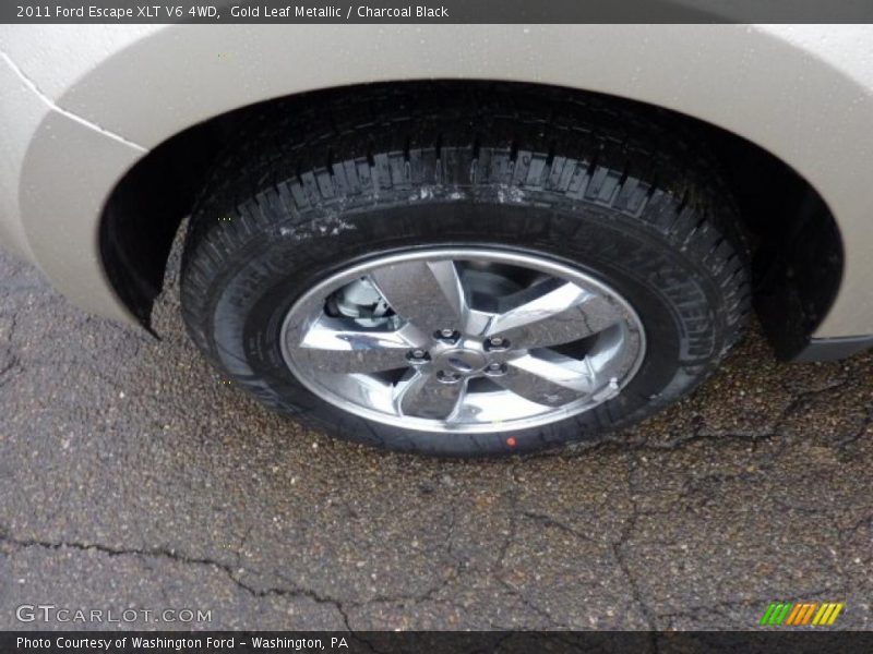 Gold Leaf Metallic / Charcoal Black 2011 Ford Escape XLT V6 4WD