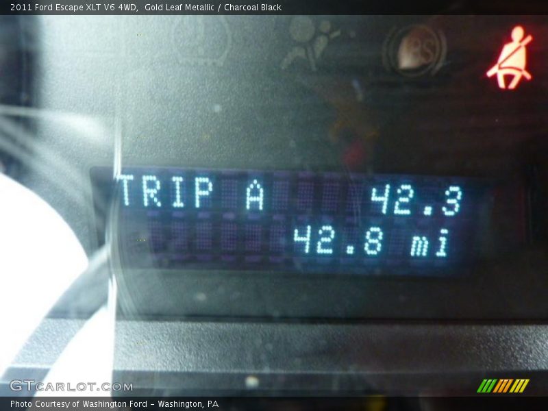 Gold Leaf Metallic / Charcoal Black 2011 Ford Escape XLT V6 4WD