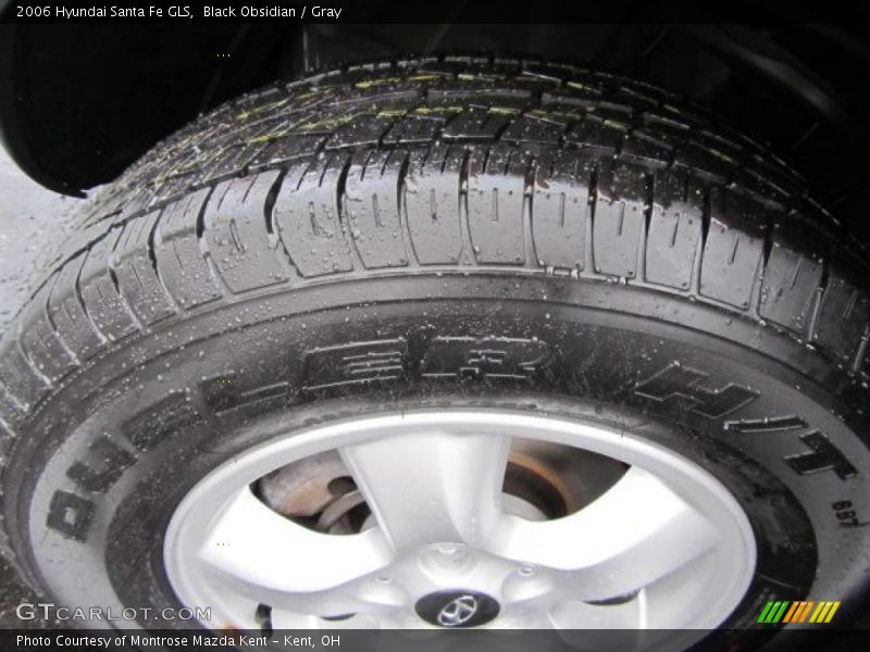 Black Obsidian / Gray 2006 Hyundai Santa Fe GLS