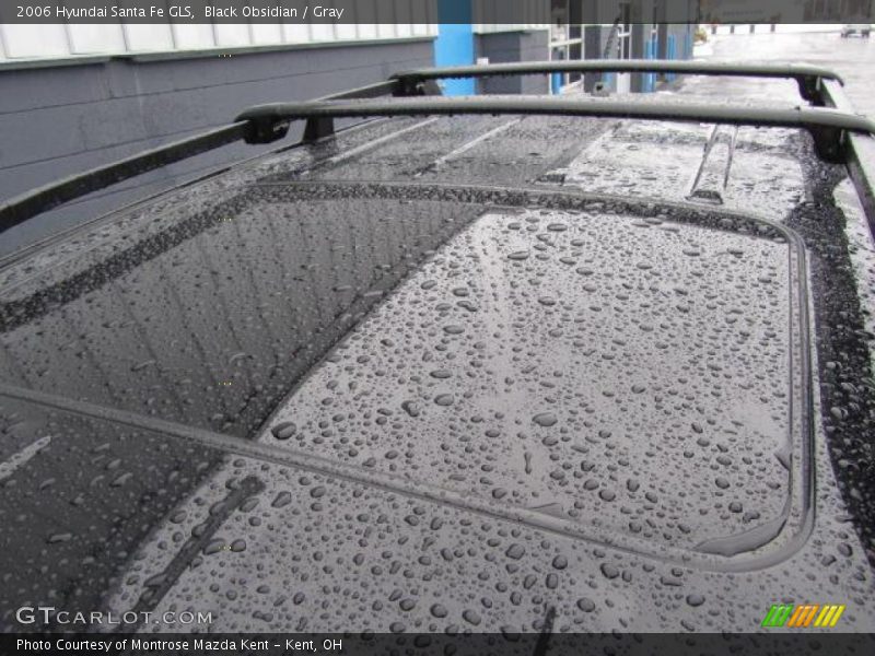 Black Obsidian / Gray 2006 Hyundai Santa Fe GLS