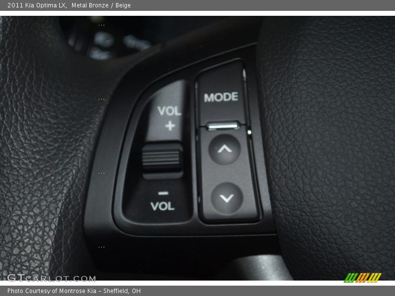 Metal Bronze / Beige 2011 Kia Optima LX