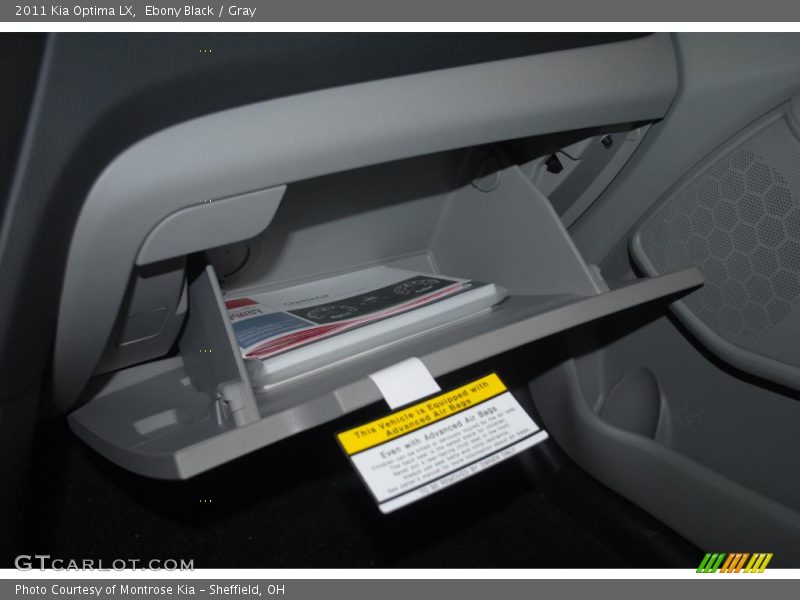 Ebony Black / Gray 2011 Kia Optima LX