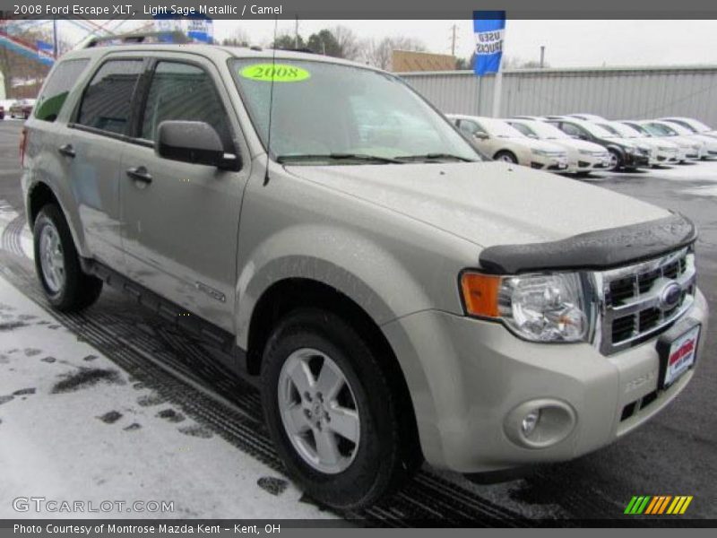 Light Sage Metallic / Camel 2008 Ford Escape XLT