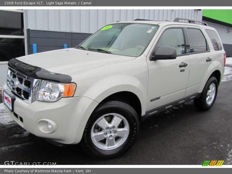 Light Sage Metallic / Camel 2008 Ford Escape XLT