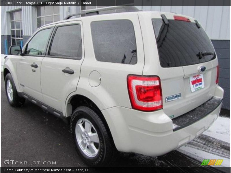 Light Sage Metallic / Camel 2008 Ford Escape XLT