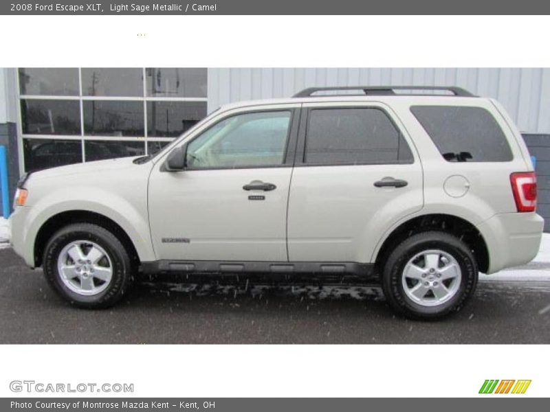 Light Sage Metallic / Camel 2008 Ford Escape XLT