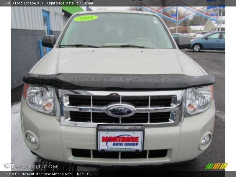 Light Sage Metallic / Camel 2008 Ford Escape XLT