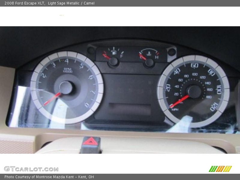 Light Sage Metallic / Camel 2008 Ford Escape XLT