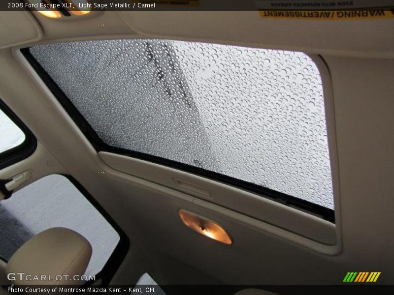 Light Sage Metallic / Camel 2008 Ford Escape XLT
