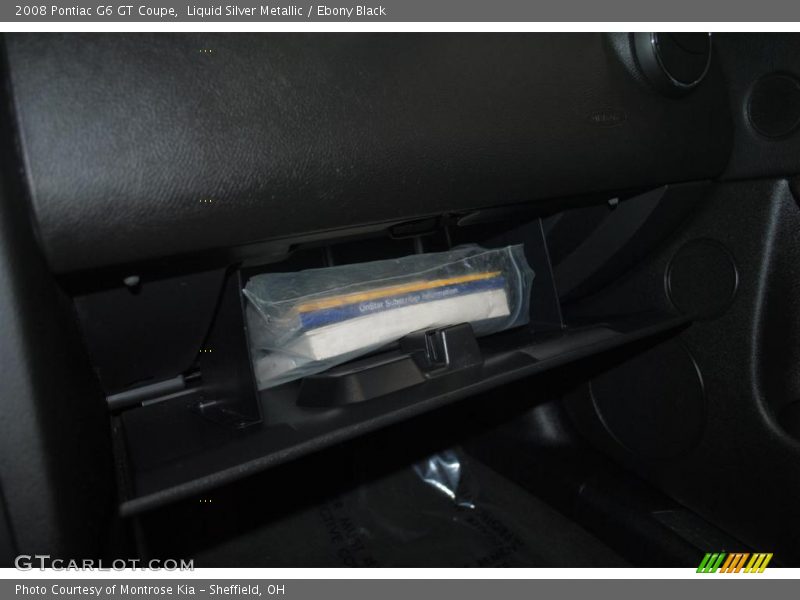 Liquid Silver Metallic / Ebony Black 2008 Pontiac G6 GT Coupe