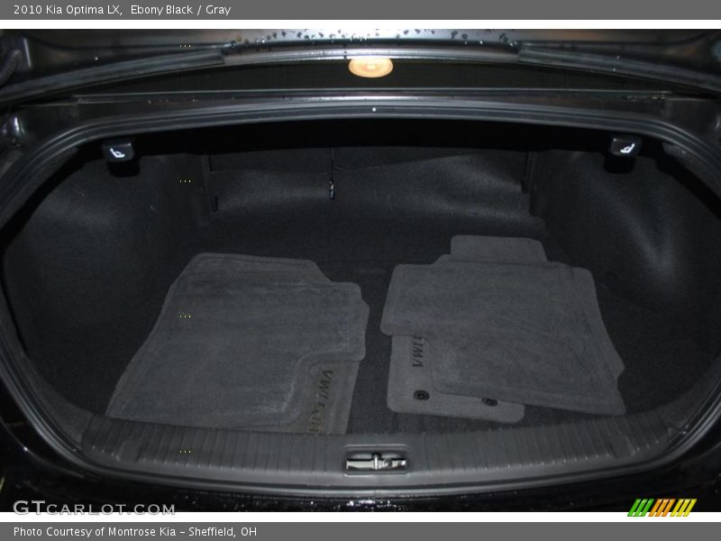 Ebony Black / Gray 2010 Kia Optima LX