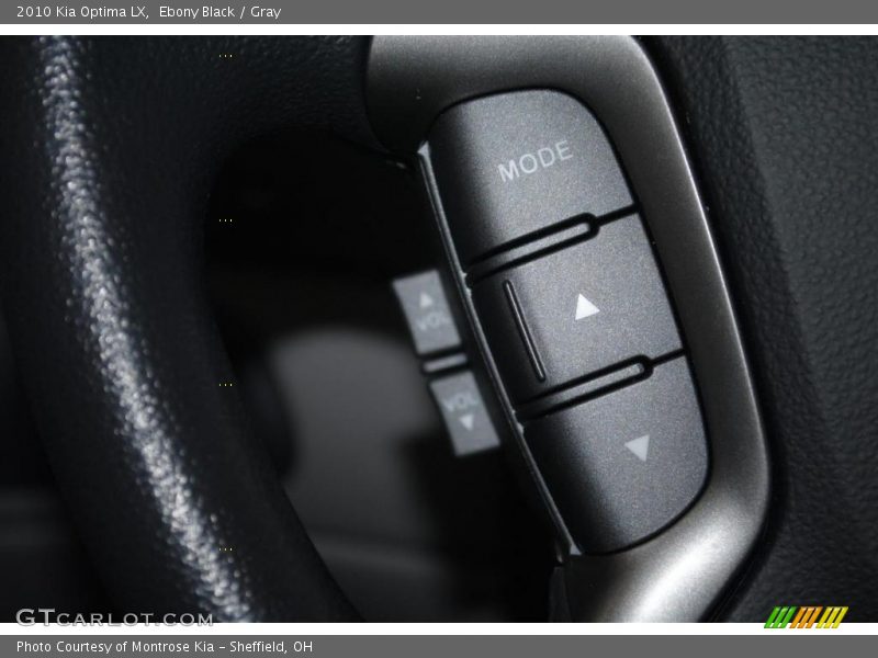 Ebony Black / Gray 2010 Kia Optima LX