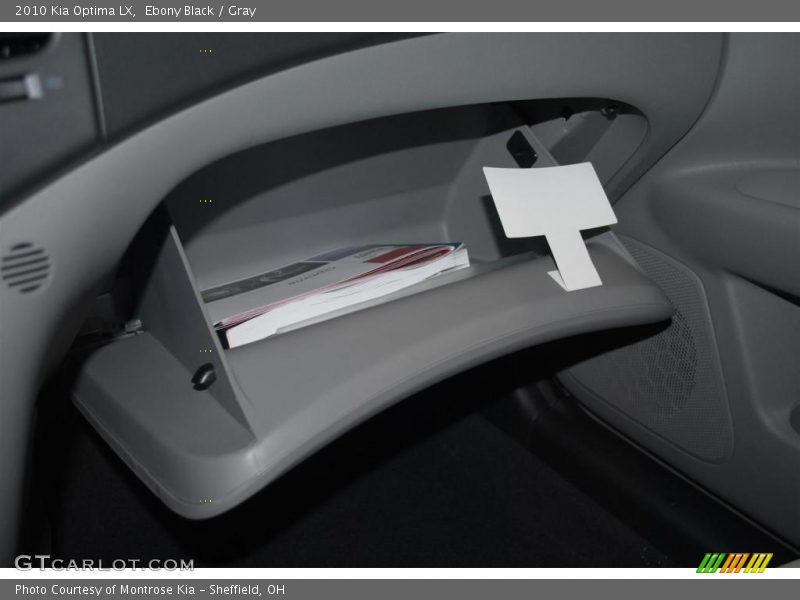 Ebony Black / Gray 2010 Kia Optima LX