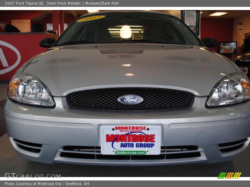 Silver Frost Metallic / Medium/Dark Flint 2007 Ford Taurus SE