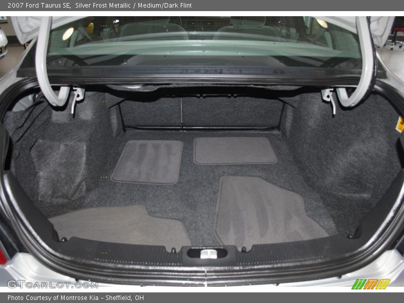 Silver Frost Metallic / Medium/Dark Flint 2007 Ford Taurus SE