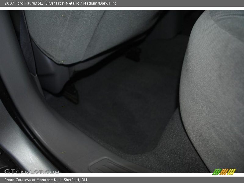 Silver Frost Metallic / Medium/Dark Flint 2007 Ford Taurus SE
