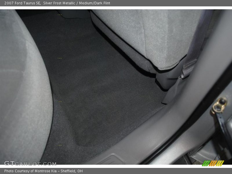 Silver Frost Metallic / Medium/Dark Flint 2007 Ford Taurus SE