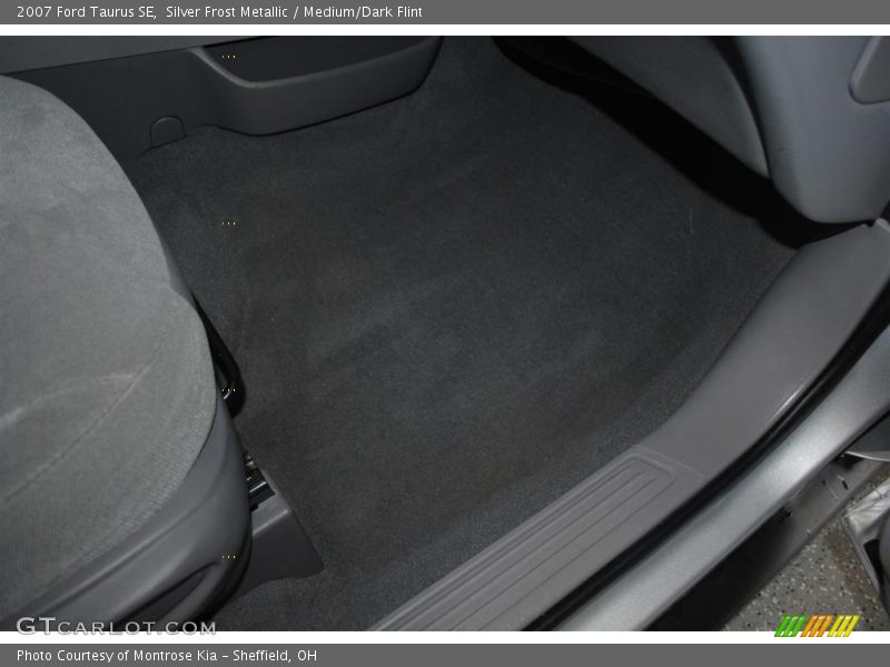 Silver Frost Metallic / Medium/Dark Flint 2007 Ford Taurus SE