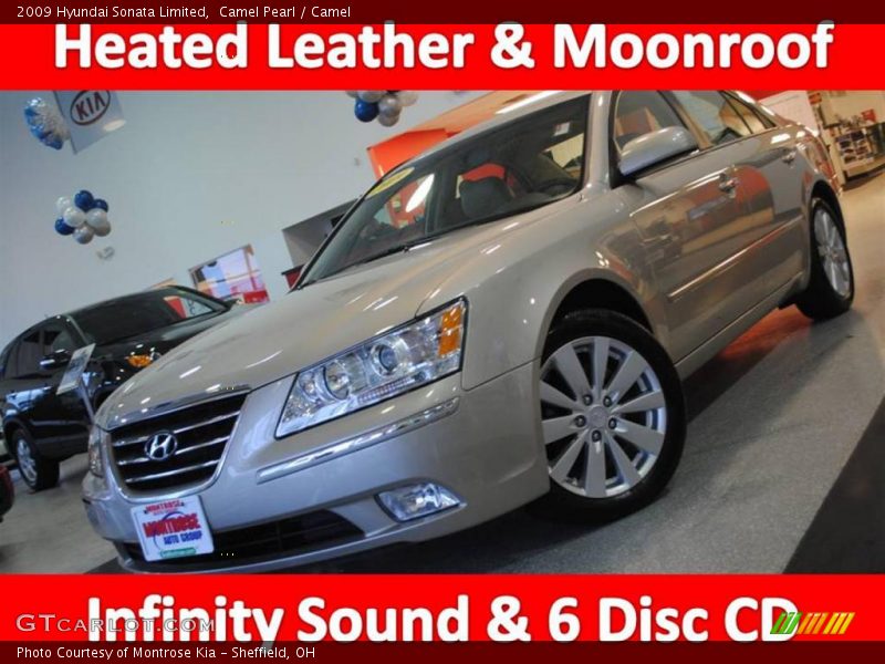 Camel Pearl / Camel 2009 Hyundai Sonata Limited