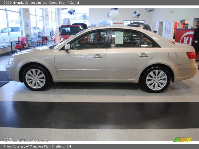 Camel Pearl / Camel 2009 Hyundai Sonata Limited