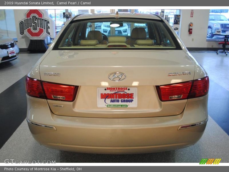 Camel Pearl / Camel 2009 Hyundai Sonata Limited