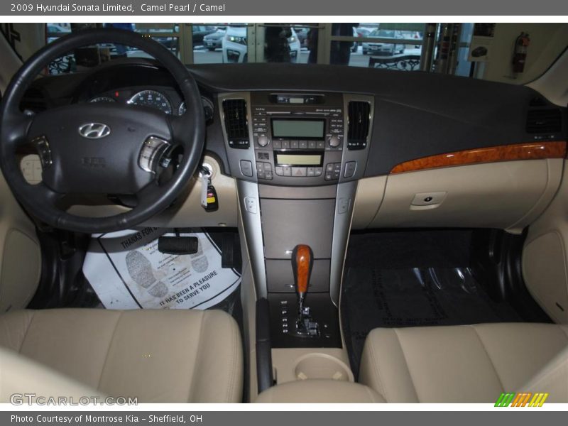 Camel Pearl / Camel 2009 Hyundai Sonata Limited