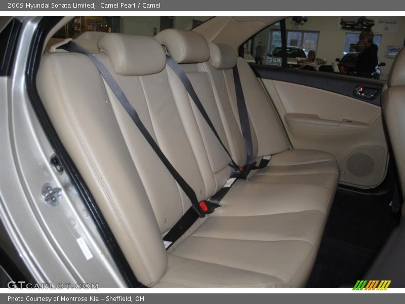 Camel Pearl / Camel 2009 Hyundai Sonata Limited