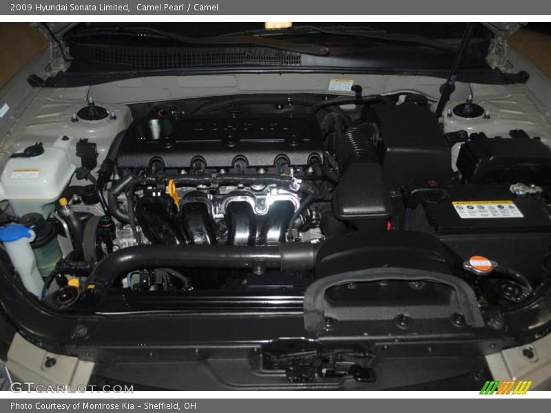 Camel Pearl / Camel 2009 Hyundai Sonata Limited