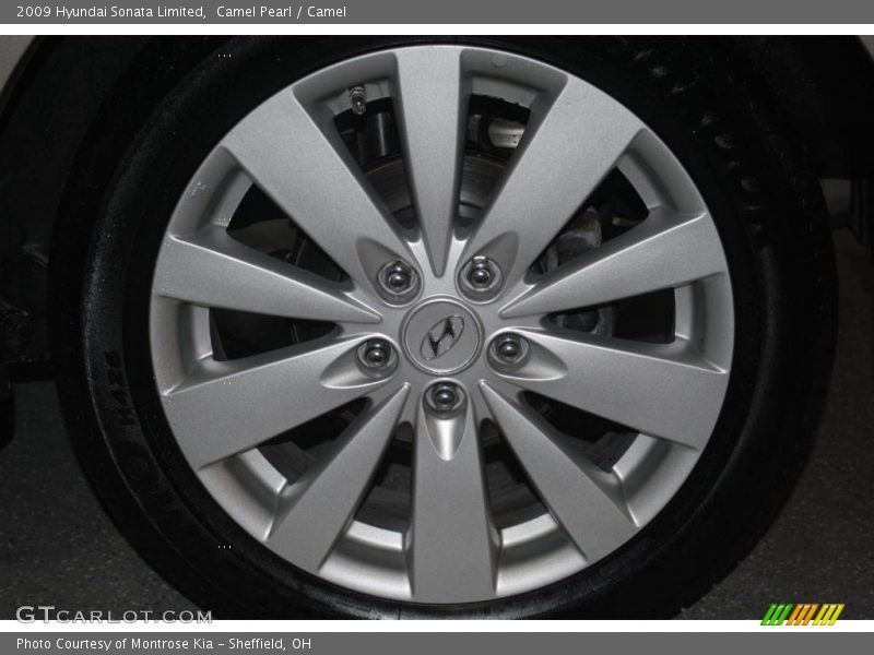 Camel Pearl / Camel 2009 Hyundai Sonata Limited