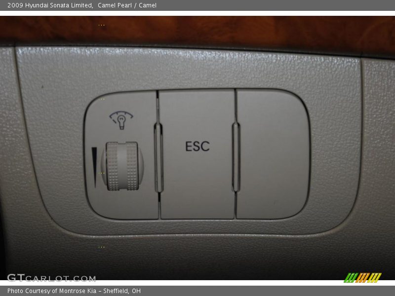 Camel Pearl / Camel 2009 Hyundai Sonata Limited