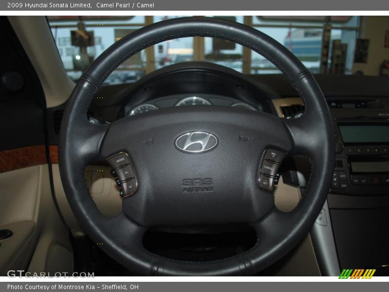 Camel Pearl / Camel 2009 Hyundai Sonata Limited