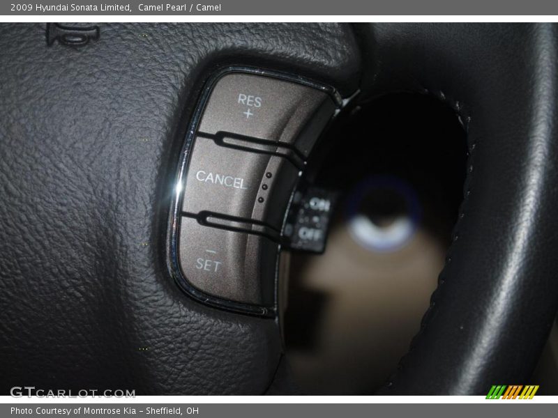 Camel Pearl / Camel 2009 Hyundai Sonata Limited