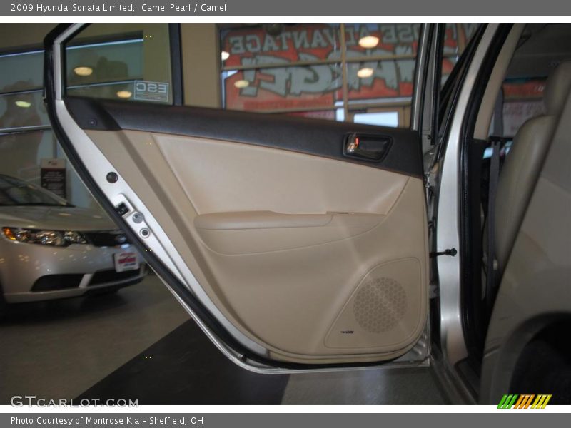 Camel Pearl / Camel 2009 Hyundai Sonata Limited