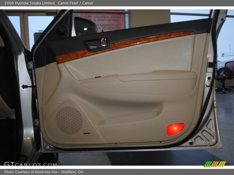 Camel Pearl / Camel 2009 Hyundai Sonata Limited