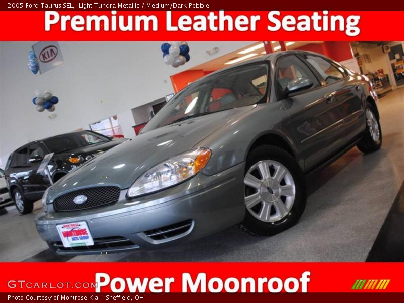 Light Tundra Metallic / Medium/Dark Pebble 2005 Ford Taurus SEL