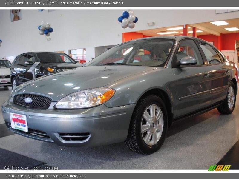 Light Tundra Metallic / Medium/Dark Pebble 2005 Ford Taurus SEL