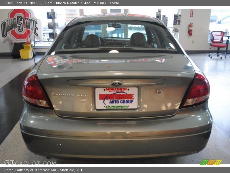 Light Tundra Metallic / Medium/Dark Pebble 2005 Ford Taurus SEL