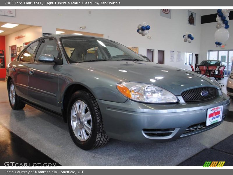 Light Tundra Metallic / Medium/Dark Pebble 2005 Ford Taurus SEL