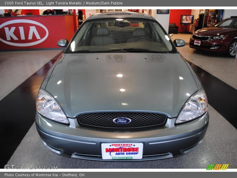 Light Tundra Metallic / Medium/Dark Pebble 2005 Ford Taurus SEL