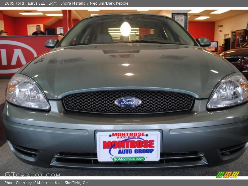 Light Tundra Metallic / Medium/Dark Pebble 2005 Ford Taurus SEL
