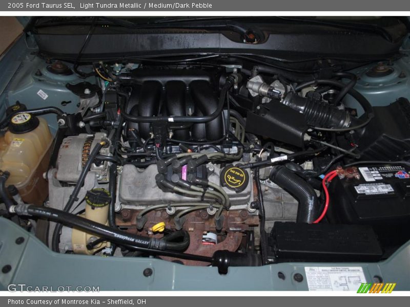 Light Tundra Metallic / Medium/Dark Pebble 2005 Ford Taurus SEL