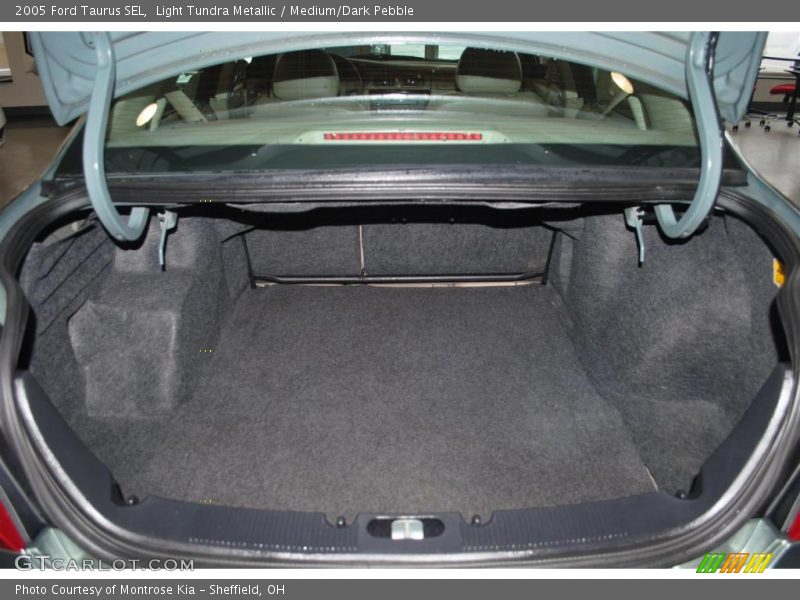 Light Tundra Metallic / Medium/Dark Pebble 2005 Ford Taurus SEL